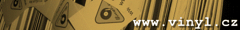 vinyl